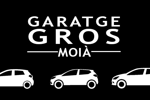 Vehicle de substitució